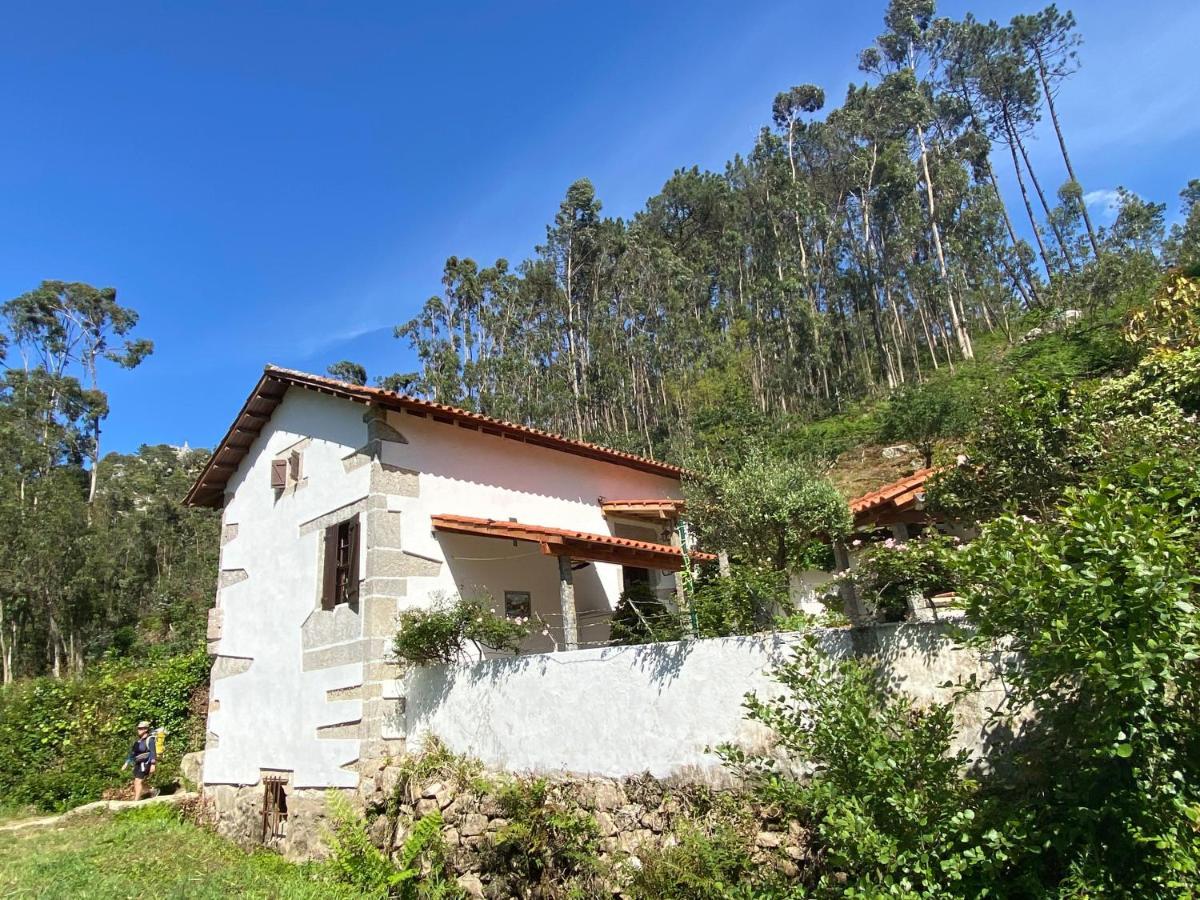 Casa Da Azenha Branca Villa Castelo Do Neiva Dış mekan fotoğraf
