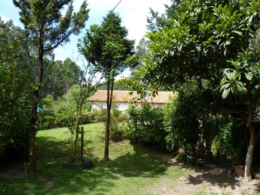 Casa Da Azenha Branca Villa Castelo Do Neiva Dış mekan fotoğraf